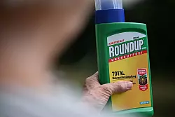 Eine Flasche des Unkrautvernichters Roundup mit dem Wirkstoff Glyphosat. (Archivbild) - © Wolf von Dewitz/dpa