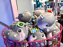 Passend zum Geburtstag stehen wieder überall Moo-Deng-Souvenirs zum Verkauf. - © Carola Frentzen/dpa