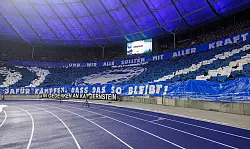 Die Fans von Hertha BSC und Schalke 04 protestieren gegen Polizeiaktionen. - &copy; Andreas Gora/dpa