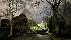 Ein abgebrochener Ast versperrt die Notting Hill Road in S&uuml;d-Belfast. - &copy; Liam Mcburney/PA Wire/dpa