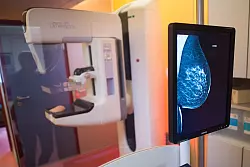 Etwa 18.500 Frauen jährlich sterben an Brustkrebs - ohne Mammographie-Screening-Programm wären es Schätzungen zufolge mehrere Tausend mehr. (Archivbild) - © Klaus-Dietmar Gabbert/dpa-Zentralbild/dpa