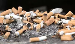 Reste von gerauchten Zigaretten in einem Aschenbecher. - &copy; Ralf Hirschberger/dpa-Zentralbild/dpa