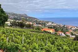 Schenkt Bio-Weine im Bodega-Restaurant «Bago» aus: die Quinta das Vinhas im Südwesten der Insel. - © Manuel Meyer/dpa-tmn