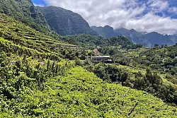 Das Weingut Quinta do Barbusano liegt im Tal São Vicente. Auch hier können Gäste bei der Weinlese helfen. - © Manuel Meyer/dpa-tmn