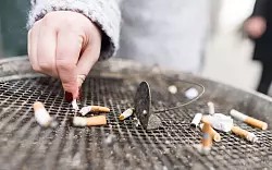 Auch die Politik ist laut Experten gefragt. (Symbolbild) - © Sebastian Gollnow/dpa