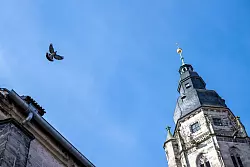 Bayern ohne Kirchtürme? Nicht vorstellbar. (Symbolbild) - © Pia Bayer/dpa