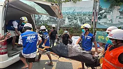 Es werden immer mehr Leichen geborgen. - © Uncredited/AP/dpa