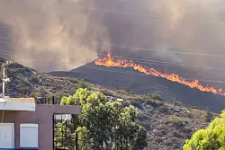 Waldbrand Nahe der Ortschaft Gennadi auf Rhodos. In Griechenland toben Waldbr&auml;nde in zahlreichen Regionen. - &copy; Christoph Reichwein/dpa