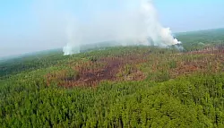 N&ouml;rdliche W&auml;lder k&ouml;nnten ganz verschwinden. (Archivbild) - &copy; Emergency Situations Ministry Press Service/AP/dpa
