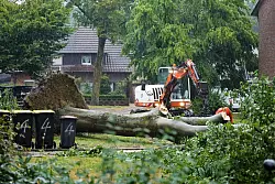 Die Unwetter ließen auch große Bäume umstürzen. - © Christoph Reichwein/dpa