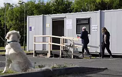 Unter dem Hashtag #DogsAtPollingStations werden online Fotos von Hunden vor Wahllokalen gepostet. - &copy; Andrew Matthews/PA Wire/dpa
