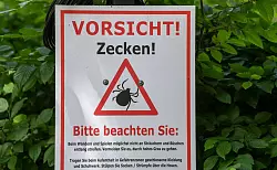 Warnschilder liefern oft auch Hinweise, wie man sich vor Zeckenstichen schützen kann. (Archivbild) - © Jens Kalaene/dpa-Zentralbild/dpa