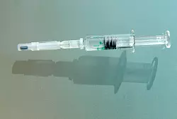 Gegen FSME-Viren kann geimpft werden, gegen Lyme-Borrelien noch nicht. (Archivbild) - © picture alliance / dpa