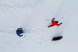 F&uuml;r gemeinsame Wintertouren eignen sich Langlauf-Gebiete mit speziellen Hunde-Loipen. - &copy; Patrick Pleul/dpa