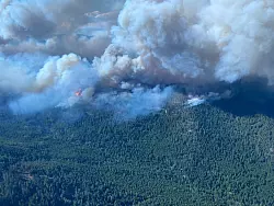 Im Gebiet bei West Kelowna, British Columbia, brennt es weiter. - © Bc Wildfire Service/Canadian Press via ZUMA Press/dpa