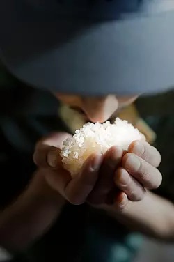 Nach dem Polieren der Reisk&ouml;rner werden sie ged&auml;mpft und verlieren mehr und mehr den typischen Reisgeschmack. - &copy; Markus Bassler/dpa-tmn