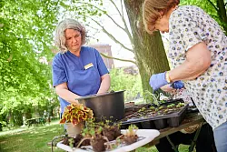 Auch Gartentherapie kann bei Demenz helfen. (Symbolbild) - &copy; Annette Riedl/dpa