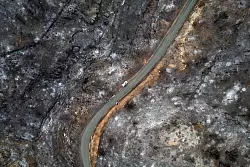 Der weltweite Schaden durch Fl&auml;chenbr&auml;nde hat seit 2015 stark zugenommen. (Archivbild) - &copy; Lionel Bonaventure/AFP/dpa