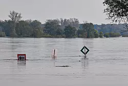 Die Oder bei Ratzdorf (Oder-Spree) &laquo;verschluckt&raquo; inzwischen Schilder im Fluss. Der Pegelstand steigt auch noch weiter. - &copy; Patrick Pleul/dpa