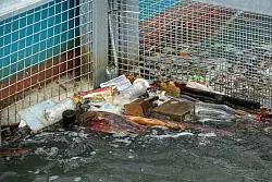 M&uuml;ll hat sich in den beiden K&ouml;rben der M&uuml;llfalle &laquo;RheinKrake&raquo; verfangen. (Handout) - &copy; Leandra Hamann/Nature/dpa