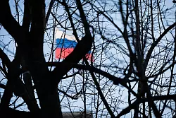 Eine Kontaktperson in der russischen Botschaft soll f&uuml;r einen Geheimdienst arbeiten. - &copy; Christoph Soeder/dpa