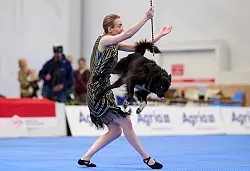 Es kann auch akrobatisch zugehen. - &copy; Bernd Thissen/dpa