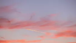 Der ersten Kraniche kommen zurück und die Hasel blüht. Die Vorboten des Frühlings sind unterwegs. (Foto Archiv) - © Rolf Vennenbernd/dpa