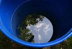 Bitte sammeln: Regenwasser ist die beste Wahl für die Bewässerung des Gartens. - © Karl-Josef Hildenbrand/dpa-tmn