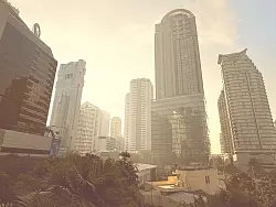 Auch Brandrodungen tragen zum gefährlichen Smog bei. - © Carola Frentzen/dpa