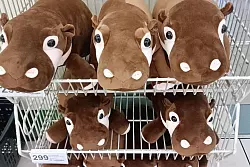 Kinder in Thailand lieben Moo-Deng-Plüschtiere. - © Tom Vater/dpa