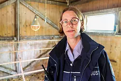 Das Projekt wird zehn Jahre alt - die Zahl der Hühner wächst und wächst - © Christoph Reichwein/dpa