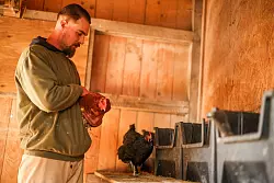 Ein kleinerer und ein größerer Stall gehören zur Hühner-Anlage mit großem Außenareal - © Christoph Reichwein/dpa
