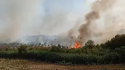 Die meisten Br&auml;nde sind auf die Mittelmeerinsel Sardinien und Sizilien. - &copy; Paolo Diletto/IPA via ZUMA Press/dpa
