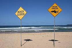 Tödliche Haiangriffe sind selten in Australien - dieses Jahr gab es aber schon vier. (Archivbild) - © Dean Lewins/AAP/dpa