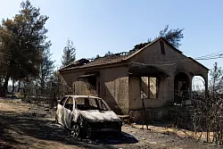 Nur wenige Kilometer nord&ouml;stlich der griechischen Hauptstadt Athen hat das Feuer gew&uuml;tet. Der Schaden durch die Br&auml;nde kann noch nicht beziffert werden. - &copy; Socrates Baltagiannis/dpa