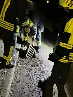 Die Feuerwehr war mit etwa 50 Einsatzkr&auml;ften und Messfahrzeugen vor Ort. (Handout) - &copy; -/Feuerwehr Vlotho/dpa