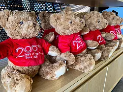 Zum 200. Jubiläum: Teddys sind nicht das einzige Souvenir, das Locomotion-Besucher im Museumsshop kaufen können. - © Stephan Weißenborn/dpa-tmn