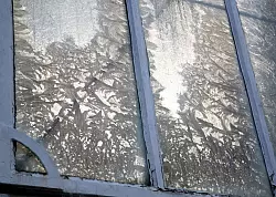 In Gew&auml;chsh&auml;usern wie diesem im Botanischen Garten Berlin ist es oft besonders feucht - was die Entstehung von Eisblumen beg&uuml;nstigt. (Archivbild) - &copy; picture alliance / dpa