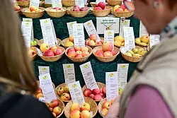 Besucher k&ouml;nnen sich &uuml;ber Lebensmittel informieren. - &copy; Sebastian Christoph Gollnow/dpa