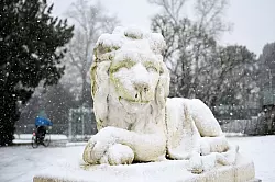 Verschneite Landschaft im Park von Schloss Benrath in Düsseldorf. - © Wolf von Dewitz/dpa-Zentralbild/dpa