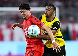 Carney Chukwuemekas (l) Leih-Vertrag beim BVB endet während der Club-WM. - © Sven Hoppe/dpa