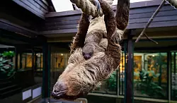 Auch damals hatte zuvor niemand die Schwangerschaft bemerkt. - &copy; Philipp Schulze/dpa