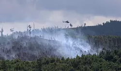 Rauchwolken bei Goslar: Hier wütet seit Sonntag ein Waldbrand. - © Matthias Bein/dpa