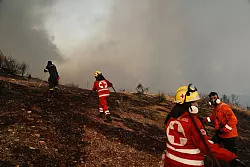 Tausende Feuerwehrleute sind in Griechenland im Einsatz. - © Thanassis Stavrakis/AP/dpa
