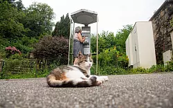 In einer Telefonzelle im Elsass rufen Menschen aus der ganzen Welt an. - &copy; Florian Bodenm&uuml;ller/SWD - S&uuml;dwestdeutsches Mediennetzwerk GmbH/dpa