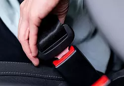 Im vergangenen Jahr waren mehr als 98 Prozent der Fahrer in Deutschland angeschnallt. Das war nicht immer so. - © Sven Hoppe/dpa