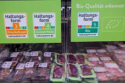 Die großen Handelsketten wollen bis 2030 auf höhere Haltungsformen umsteigen. (Archivbild) - © Rolf Vennenbernd/dpa