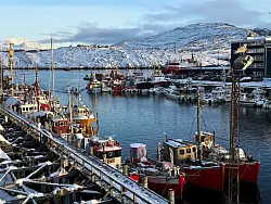 Trump will Gr&ouml;nland kontrollieren. (Archivbild) - &copy; Julia W&auml;schenbach/dpa