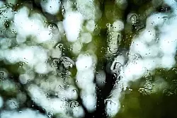 Herbststurm &laquo;Joshua&raquo; bringt auch immer wieder Regen mit sich. - &copy; Swen Pf&ouml;rtner/dpa