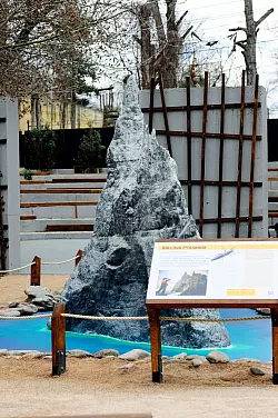 Im Zoo in Prag ist ein neuer Pavillon f&uuml;r eine der seltensten Insektenarten, den australischen Baumhummer, er&ouml;ffnet worden. - &copy; Michael Heitmann/dpa